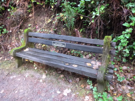 Benches are located along the Redwood Trail
